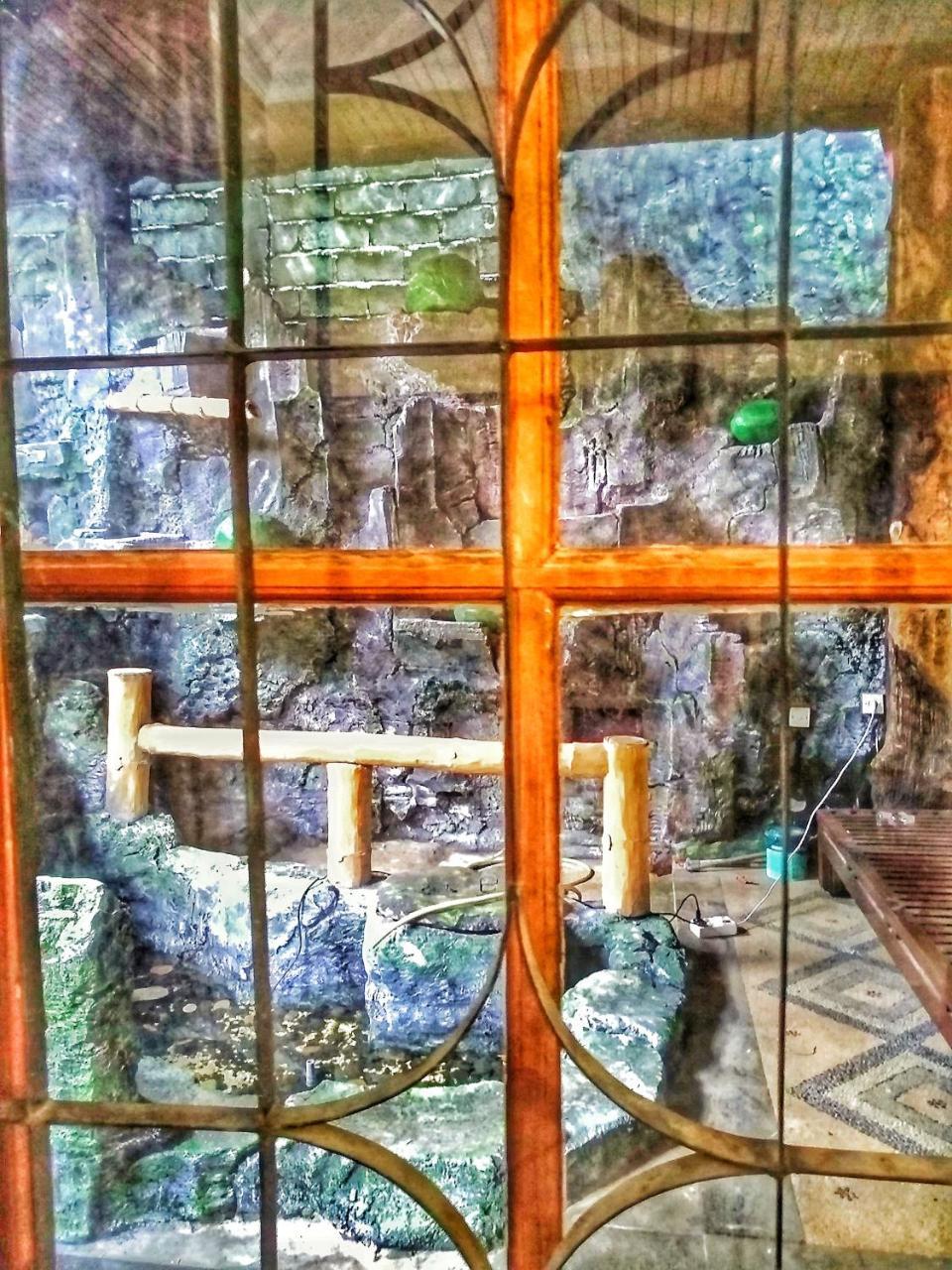 Bunk'D Backpackers Villa 金巴兰 外观 照片
