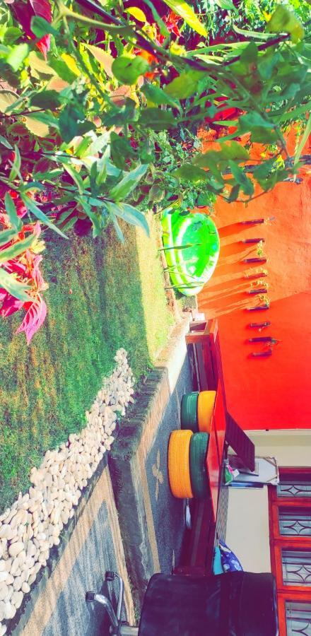 Bunk'D Backpackers Villa 金巴兰 外观 照片